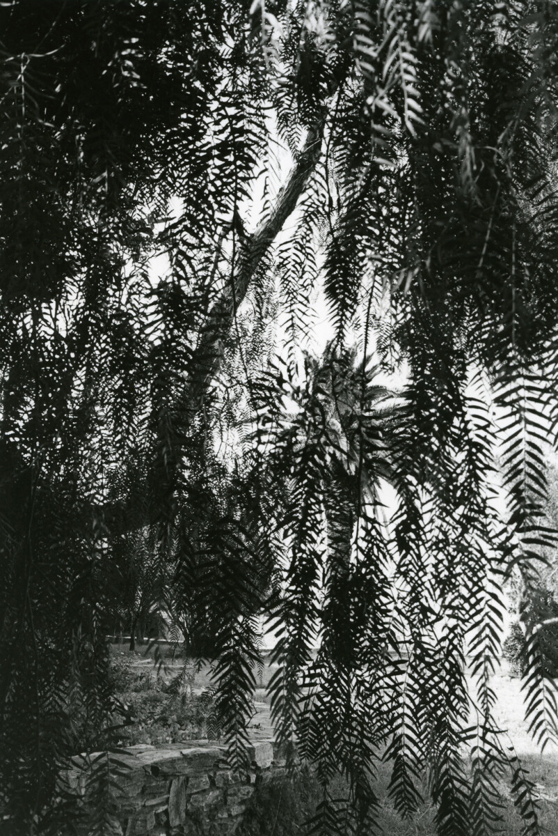 Barcarolle pour une citadelle, 2008-2009