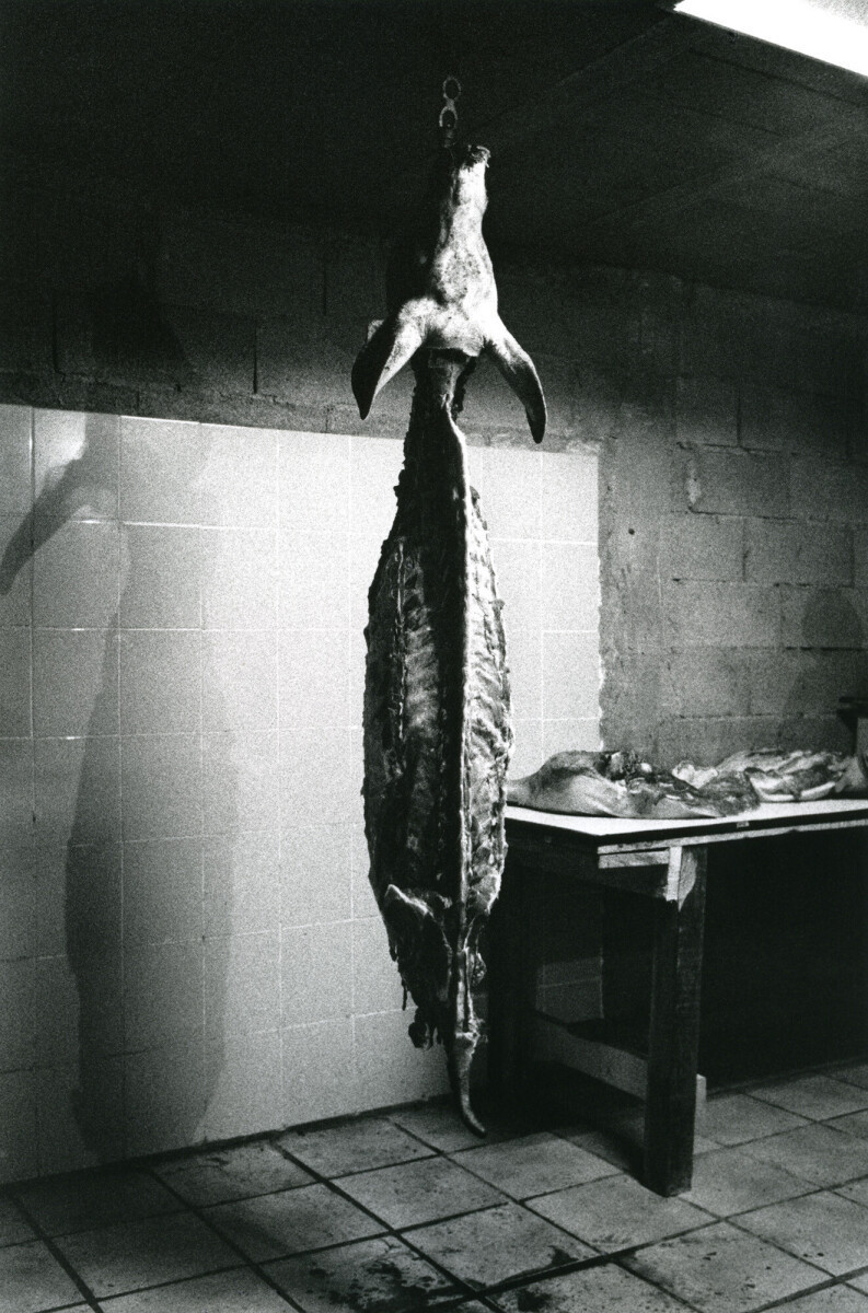 Et l'âme quitta les os, 2001-2003