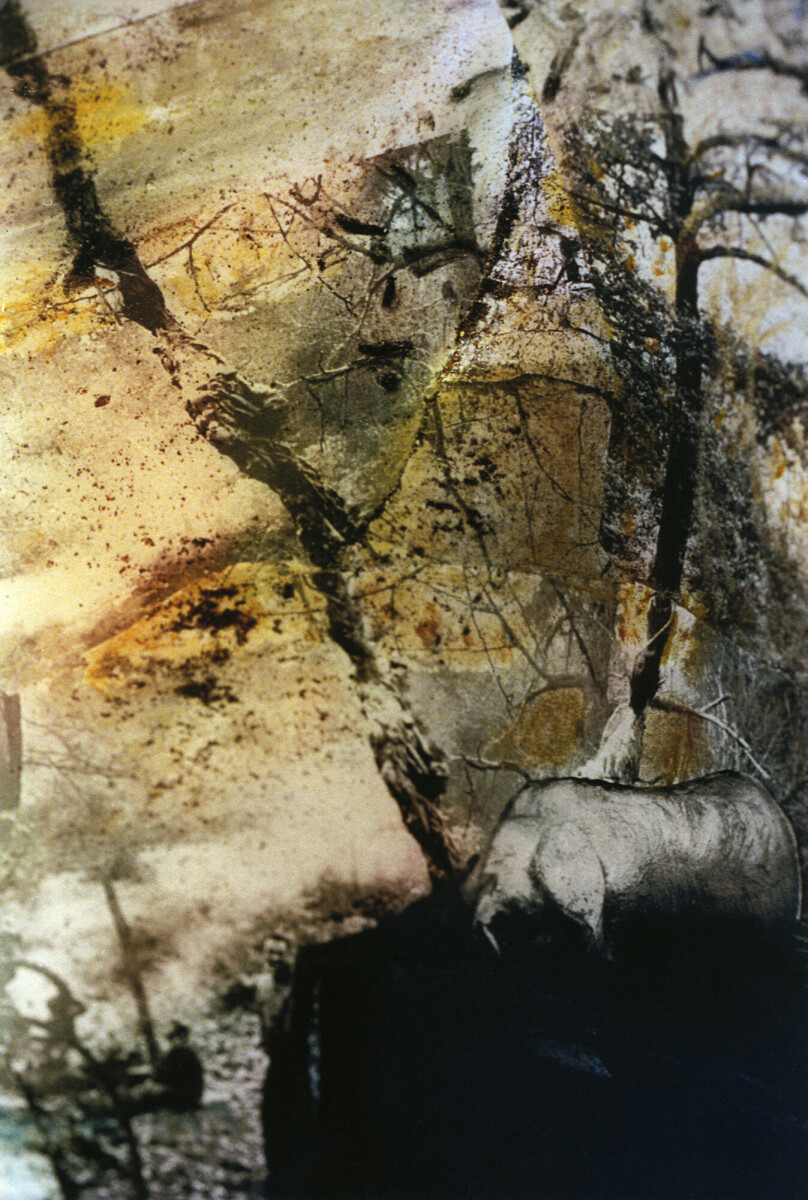 Kafka A. Tentatives d'incarnation, 2005-2015