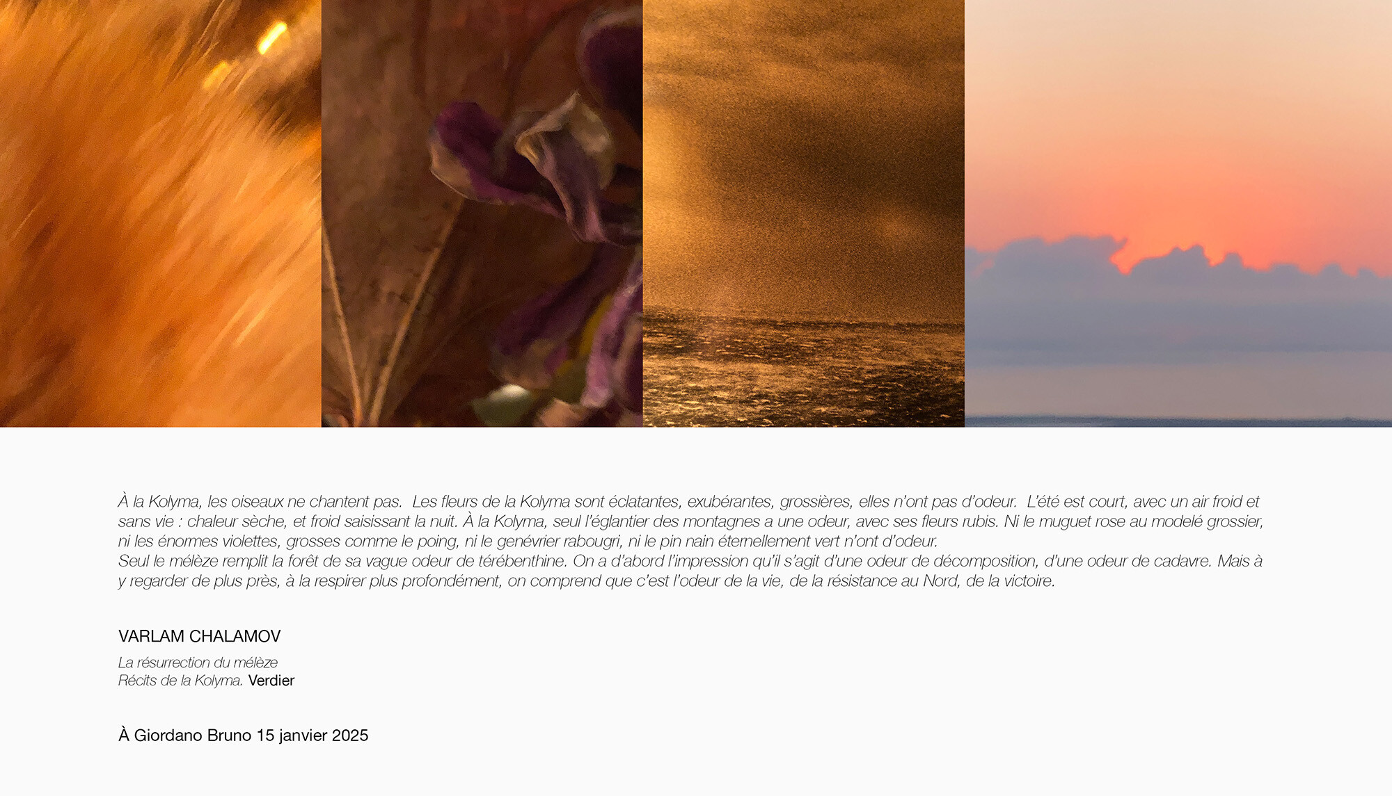 ©AnneDelassus-AGiordanoBruno15janvier2025-fbfafa