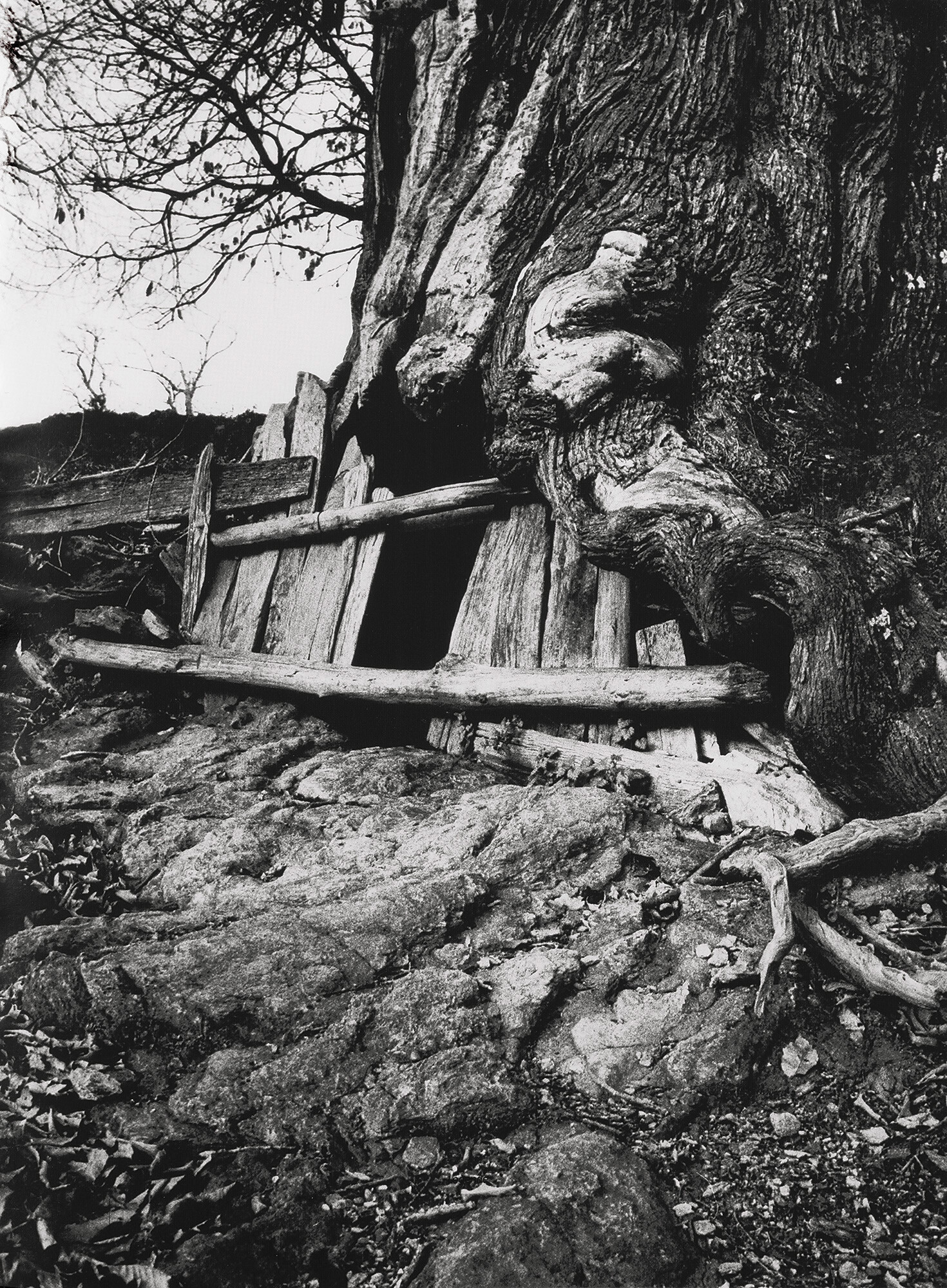 ©AnneDelassus-Etlamequittalesos-2