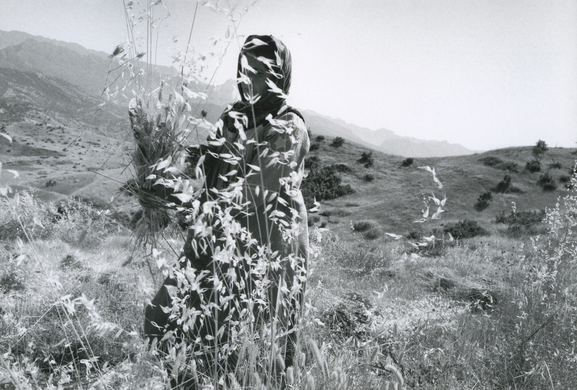 ©AnneDelassus-Kurdistan-Terredelumiere-30