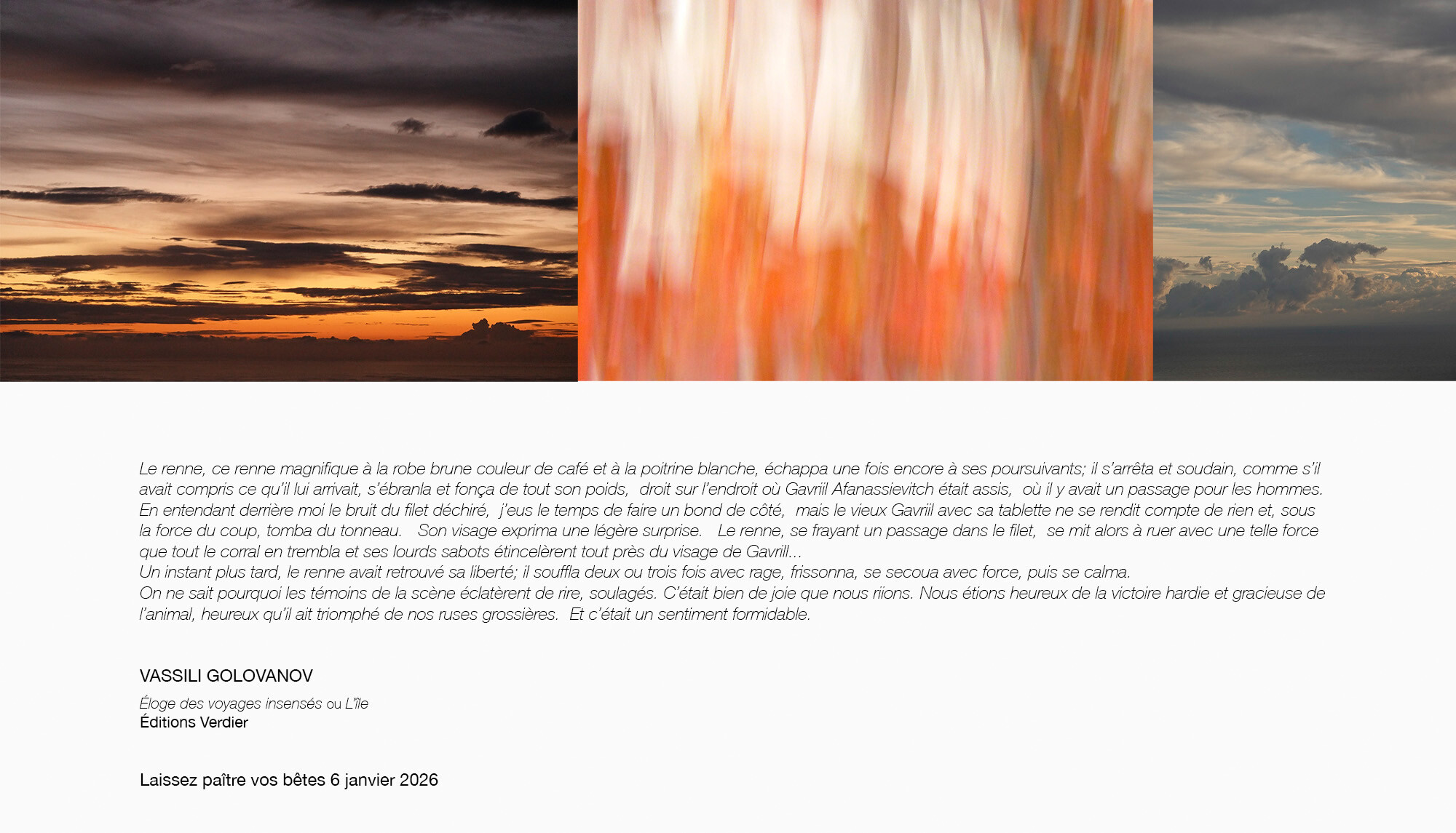 ©AnneDelassus-Laissez paître vos bêtes-6janvier2026