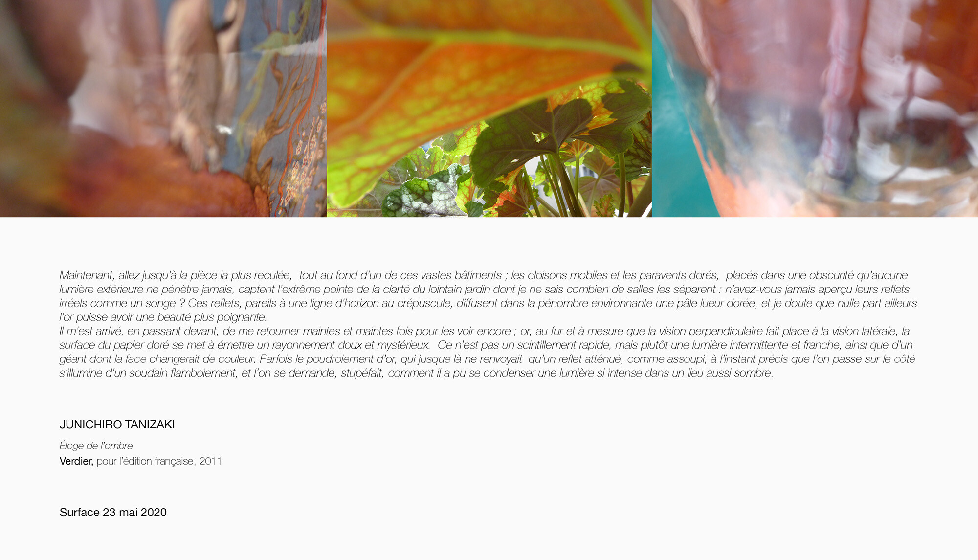 ©AnneDelassus-Surface23mai2020-fbfafa