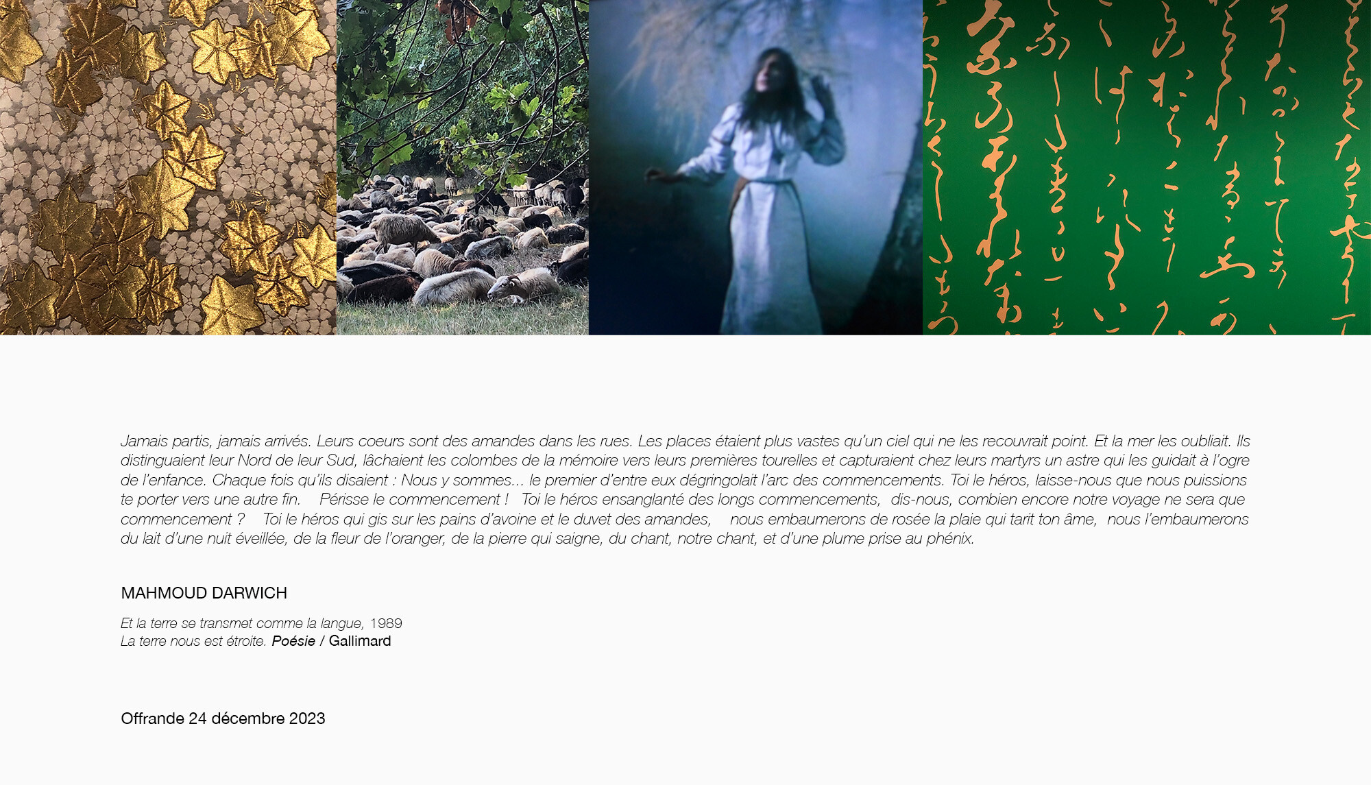 ©AnneDelasus-Offrande24décembre2023-fbfafa