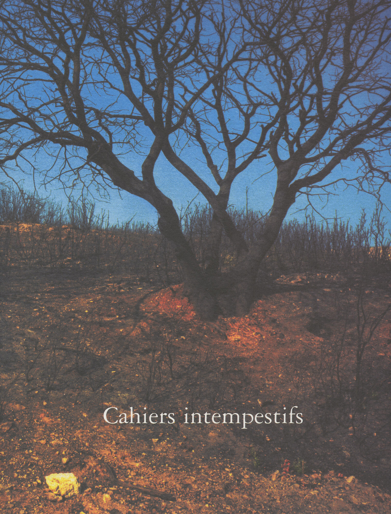 cahiers intempestifs-n17 couvertureAnneetPatrickPoirier